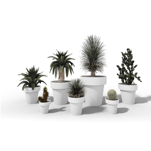 国际棕色种植者