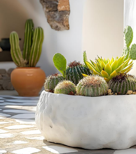 中东沙漠景观改造项目