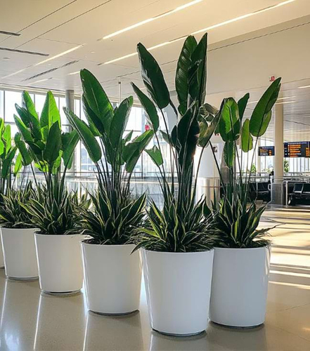 广州白云机场枢纽项目